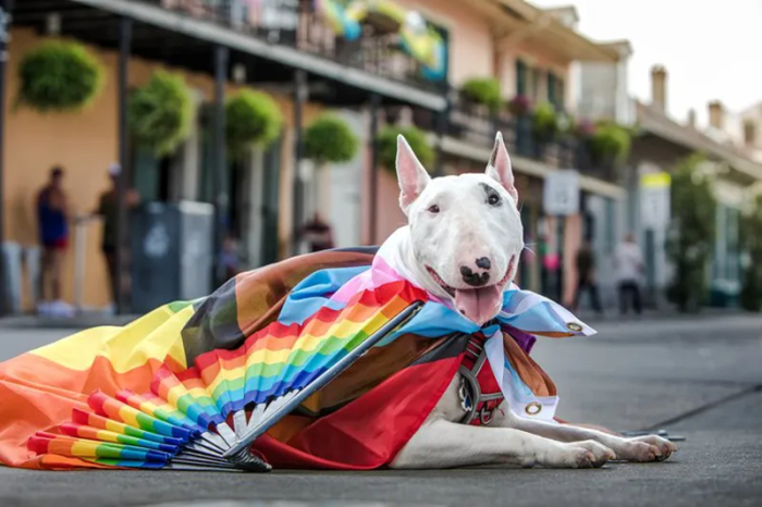 LGBTQ